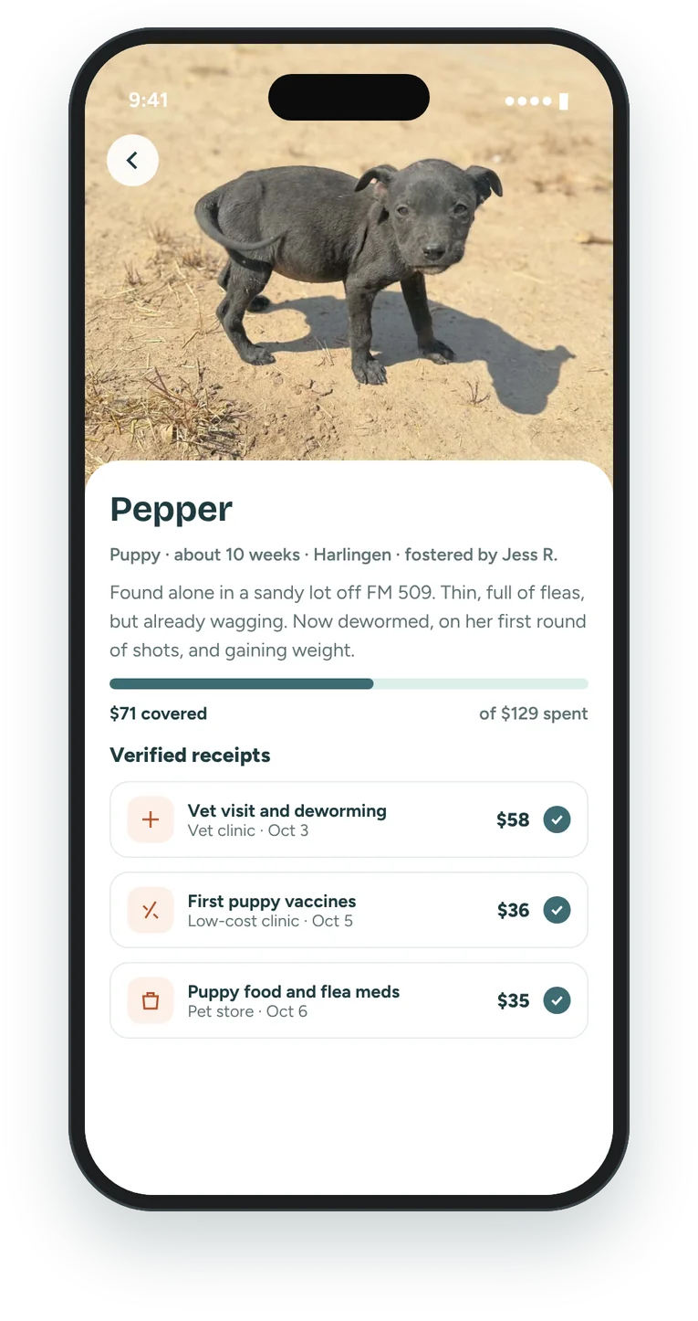 A foster dog's profile showing verified receipts for a vet visit, vaccines, and food