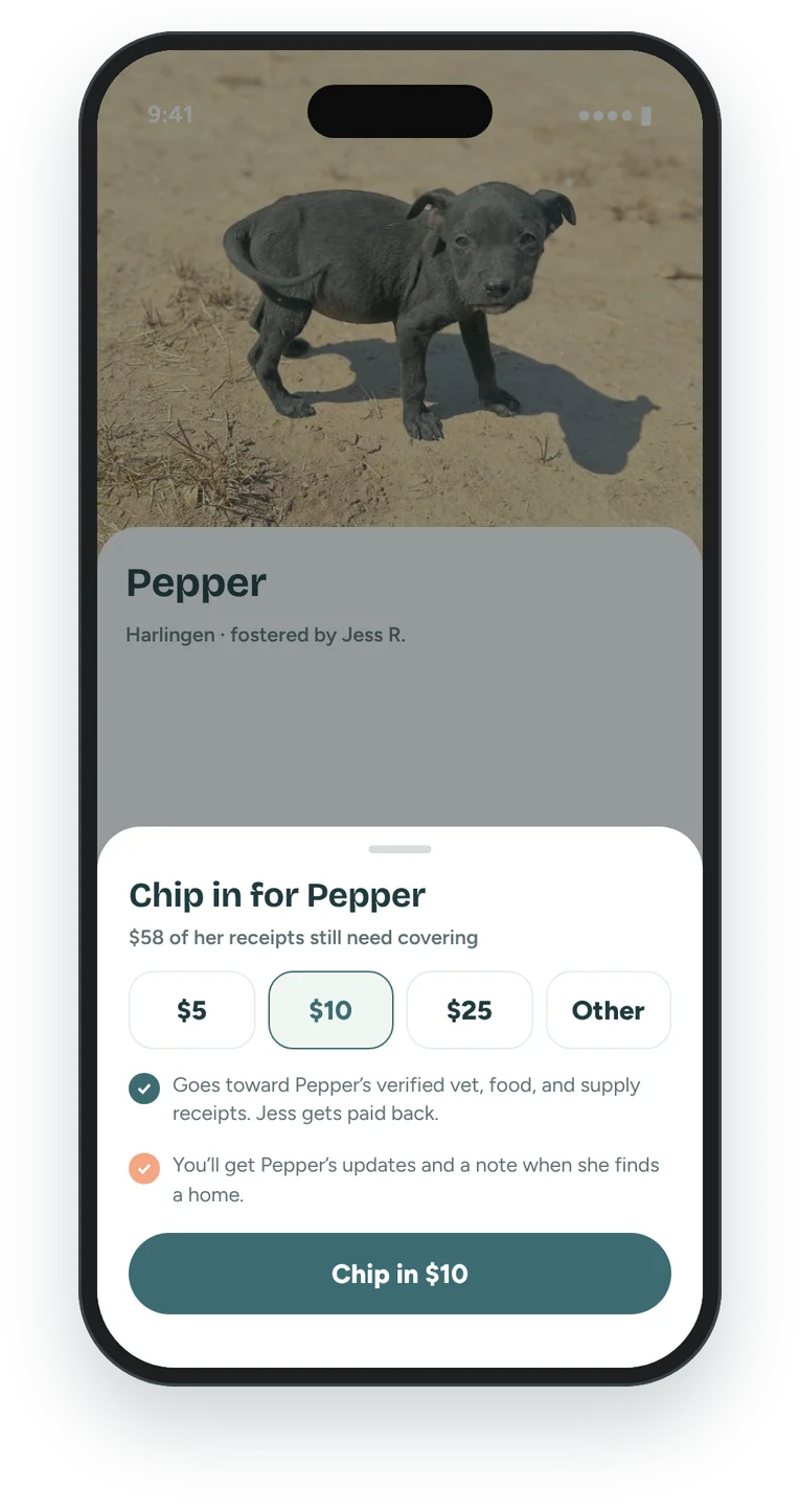 The chip in screen with amount options of 5, 10, and 25 dollars