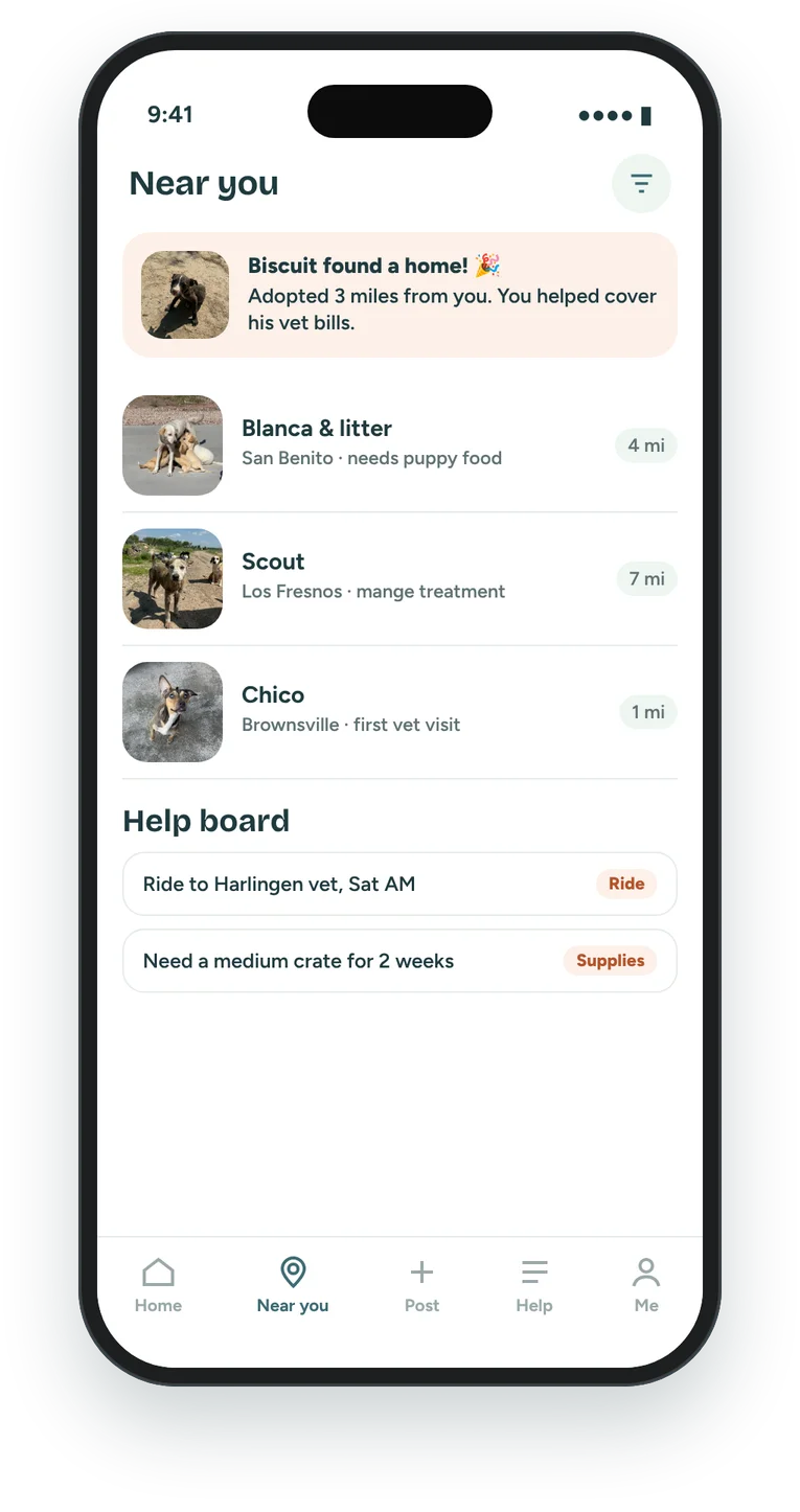 Near you screen with an adoption alert, nearby foster dogs, and a help board