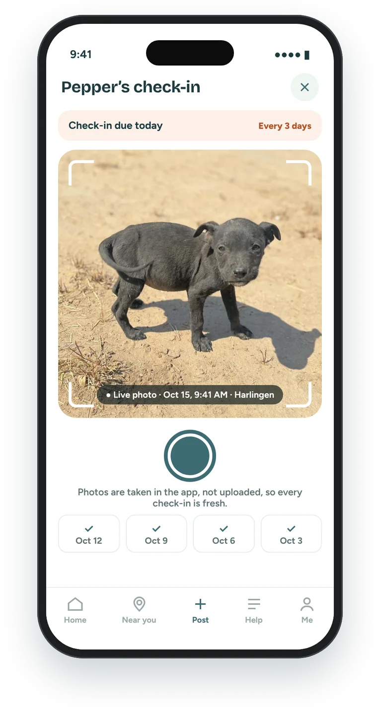 Check-in screen with a live photo of a puppy stamped with the date, time, and place, and a row of past check-ins